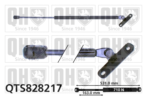 Gas Spring, boot/cargo area (QTS828217)