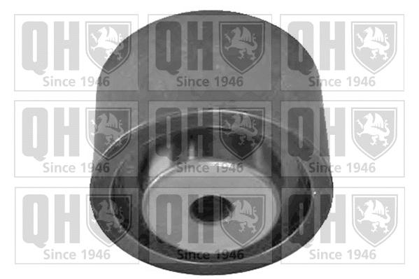 Deflection/Guide Pulley, timing belt (QTT1064)