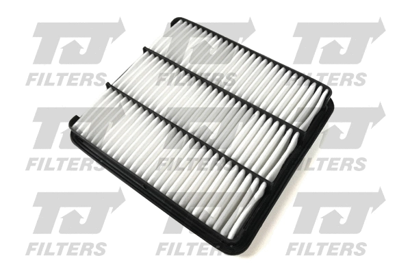 Air Filter (QFA1069)