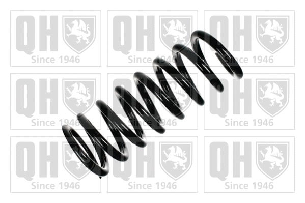 Suspension Spring (QCS7844)