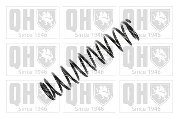 Suspension Spring (QCS5327)