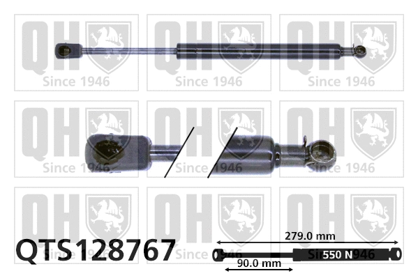Gas Spring, boot/cargo area (QTS128767)