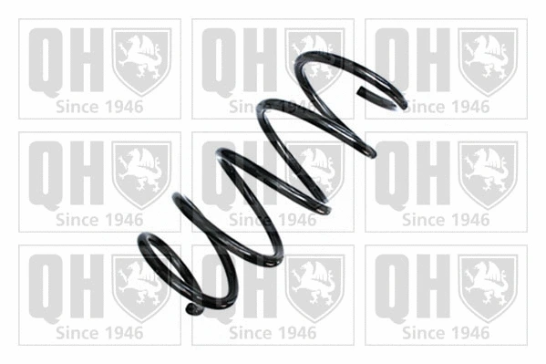 Suspension Spring (QCS8861)