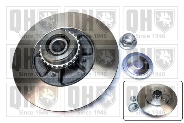 Brake Disc (BDC6001)