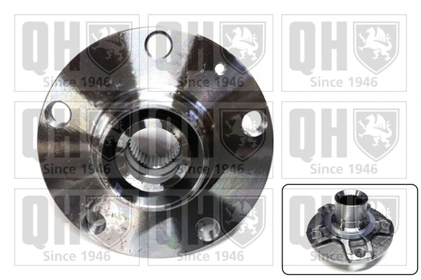 Wheel Hub (QWH200)