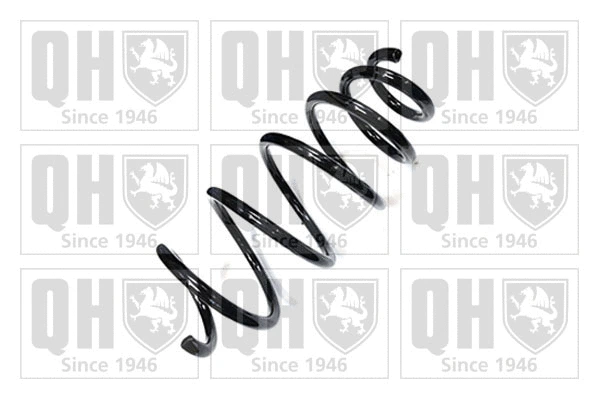 Suspension Spring (QCS6248)
