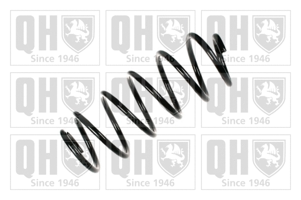 Suspension Spring (QCS6092)