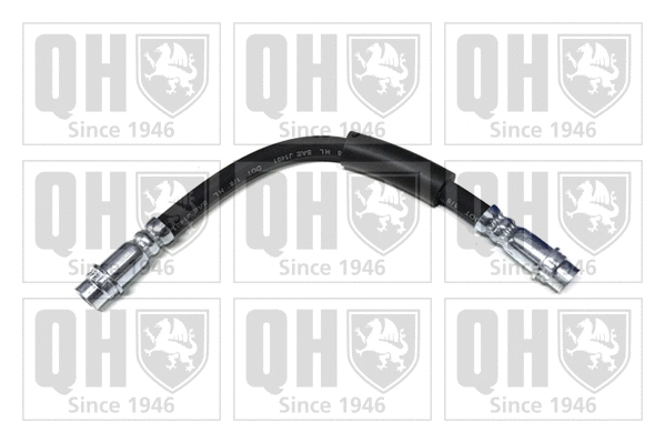 Brake Hose (BFH6128)
