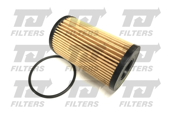 Oil Filter (QFL0347)