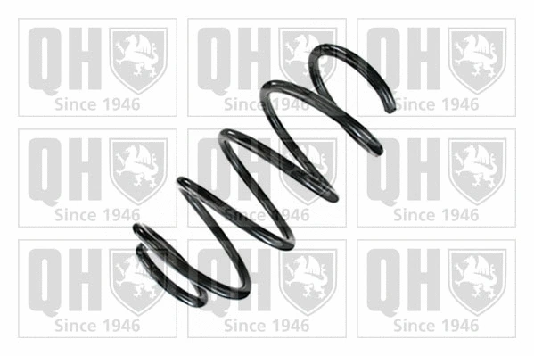 Suspension Spring (QCS9089)