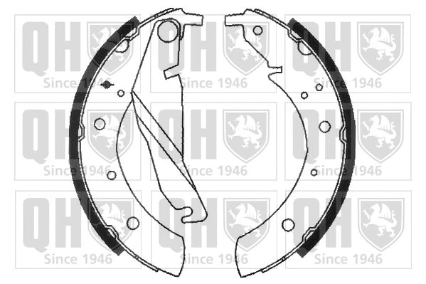 Brake Shoe Set (BS810)