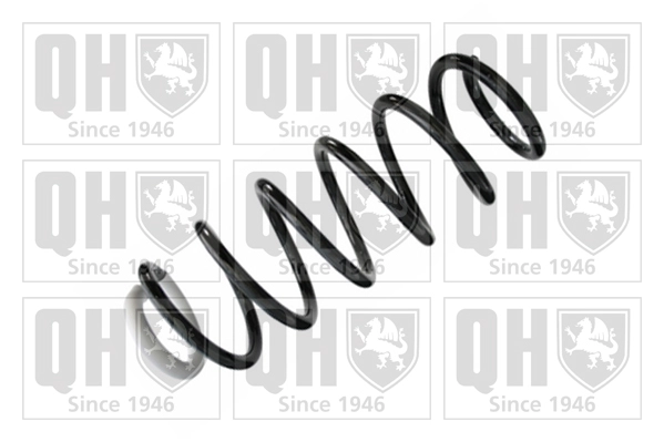 Suspension Spring (QCS8419)