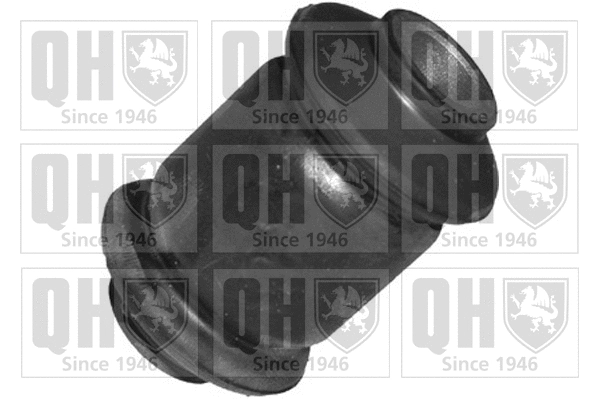 Mounting, control/trailing arm (EMS8045)