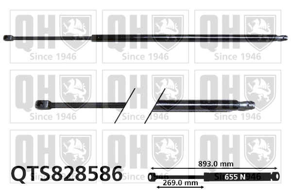 Gas Spring, boot/cargo area (QTS828586)