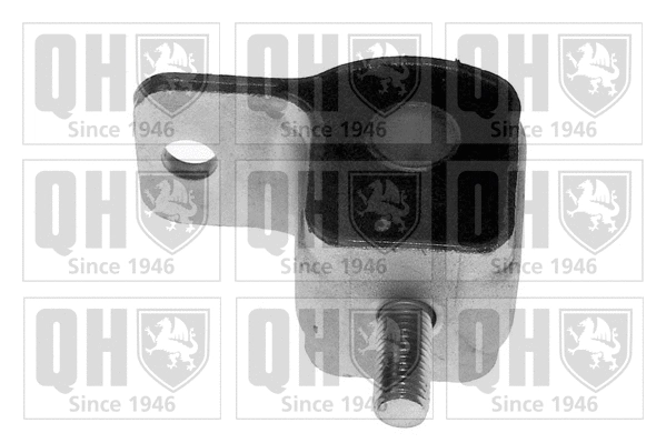 Mounting, control/trailing arm (EMS1993)