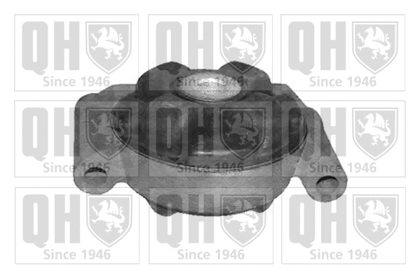 Mounting, engine (EM3094)