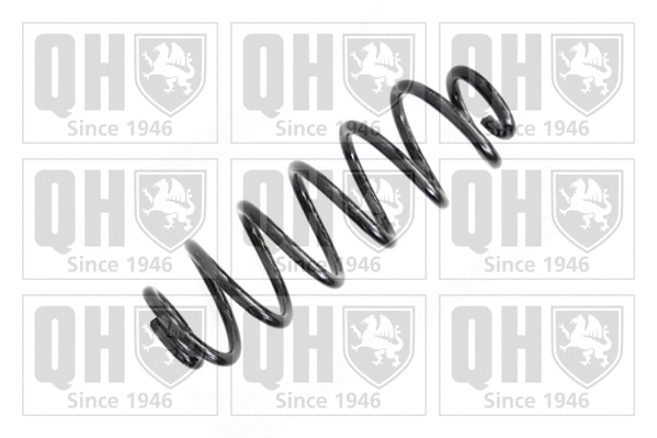 Suspension Spring (QCS7377)