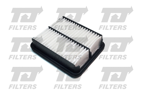 Air Filter (QFA0641)
