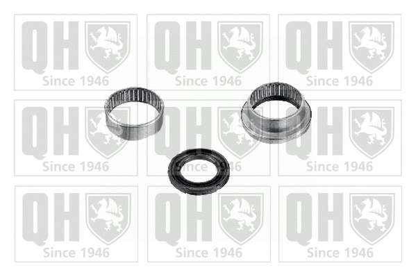 Repair Kit, axle beam (QWB9014)