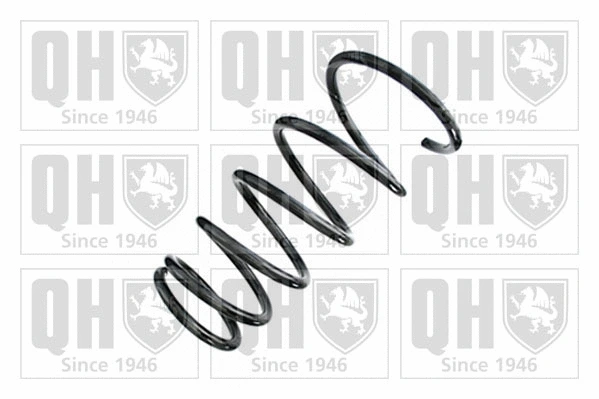 Suspension Spring (QCS7496)