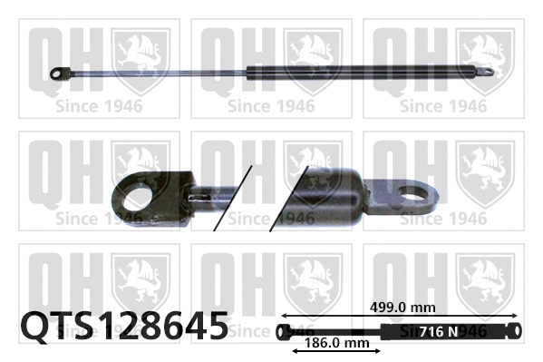 Gas Spring, boot/cargo area (QTS128645)