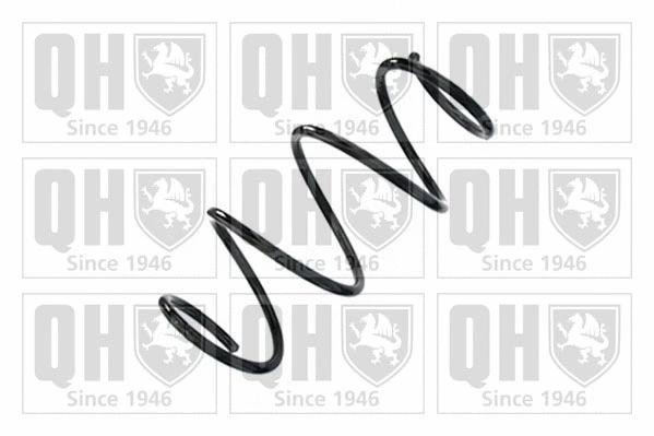 Suspension Spring (QCS9153)