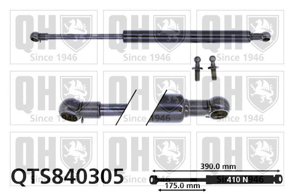 Gas Spring, bonnet (QTS840305)