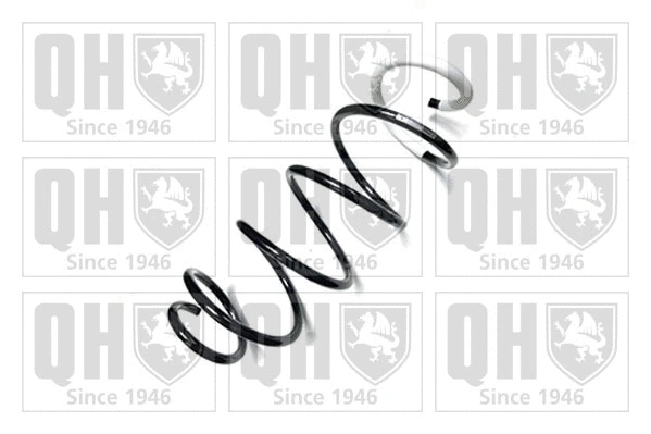Suspension Spring (QCS9010)