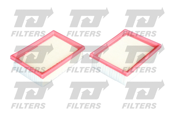 Air Filter (QFA0817)