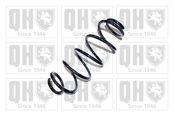 Suspension Spring (QCS6109)