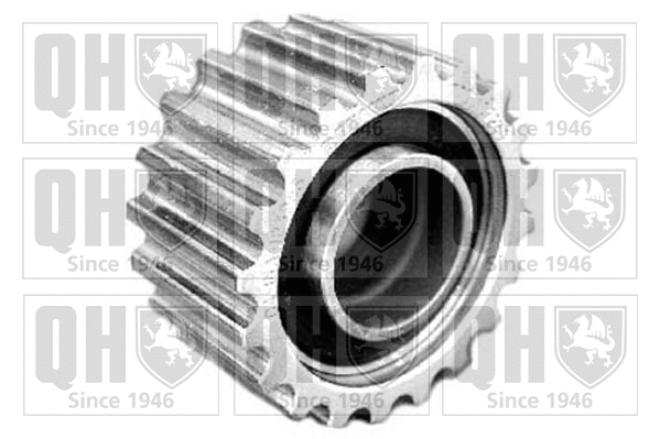 Deflection/Guide Pulley, timing belt (QTT879)