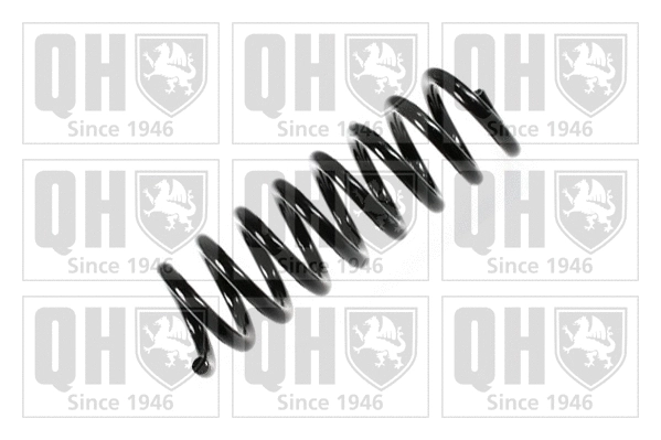 Suspension Spring (QCS6218)