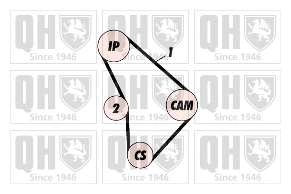 Timing Belt Kit (QBK164)