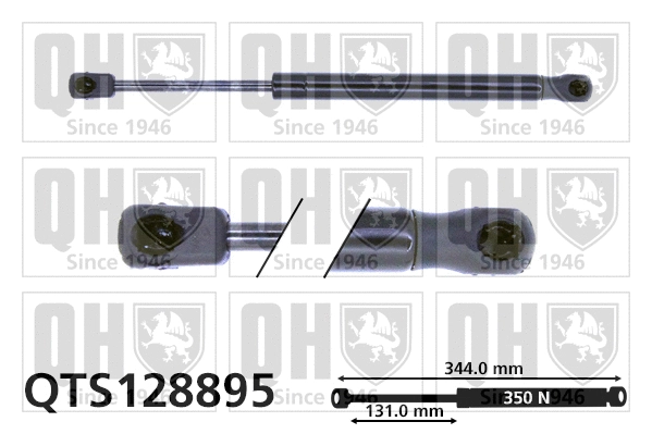 Gas Spring, boot/cargo area (QTS128895)