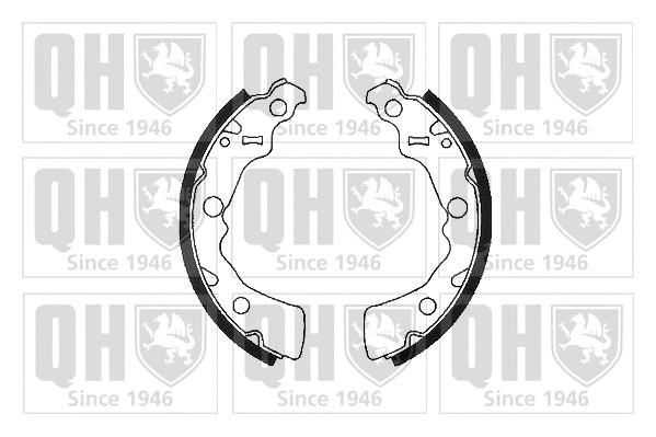 Brake Shoe Set (BS1119)