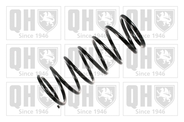 Suspension Spring (QCS7380)