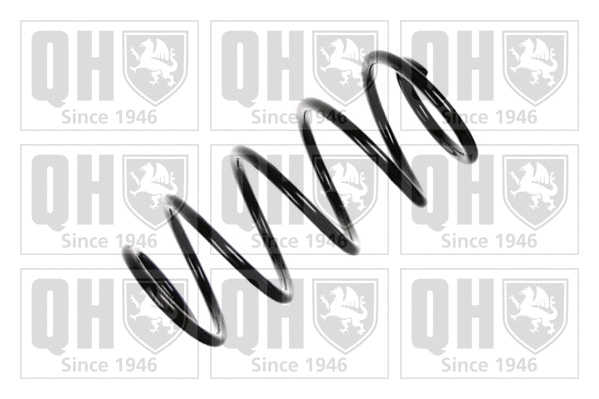 Suspension Spring (QCS6578)