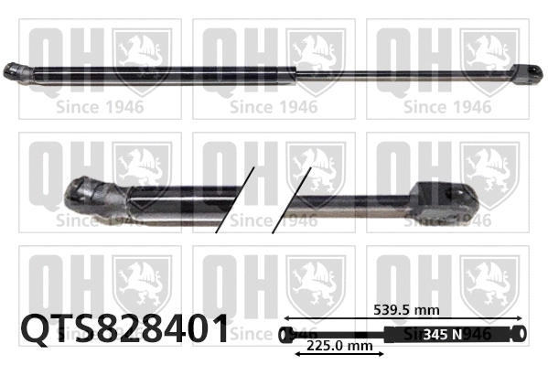 Gas Spring, boot/cargo area (QTS828401)