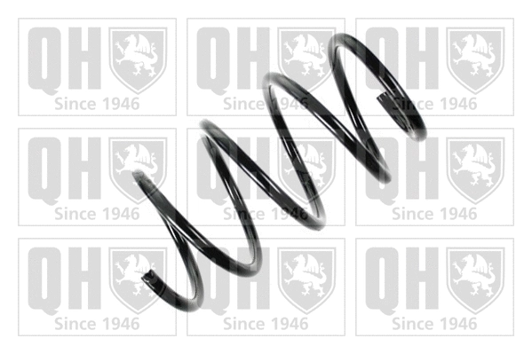 Suspension Spring (QCS6158)