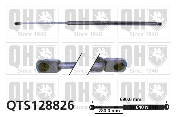 Gas Spring, boot/cargo area (QTS128826)