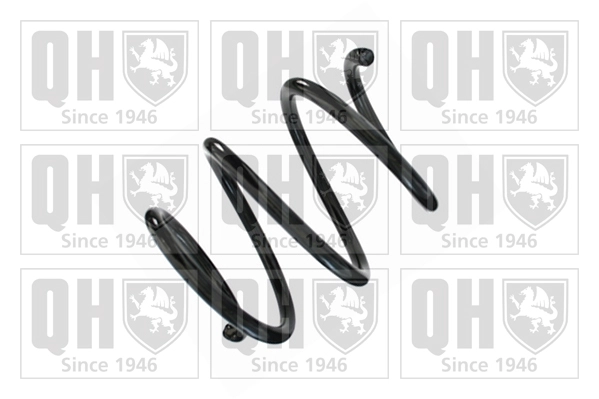 Suspension Spring (QCS8623)