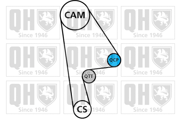 Timing Belt Kit (QBK465)