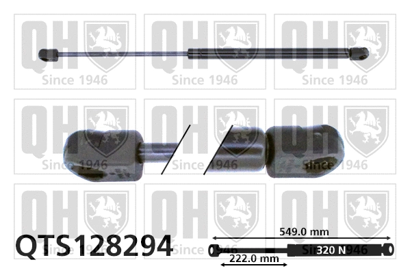 Gas Spring, boot/cargo area (QTS128294)