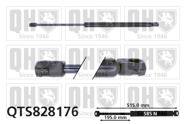 Gas Spring, boot/cargo area (QTS828176)