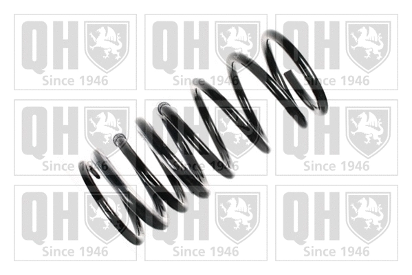 Suspension Spring (QCS5966)
