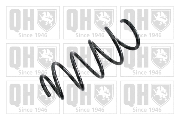 Suspension Spring (QCS6494)