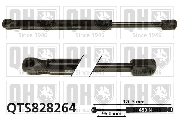 Gas Spring, boot/cargo area (QTS828264)
