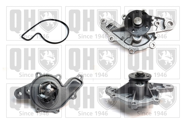Water Pump, engine cooling (QCP3511)