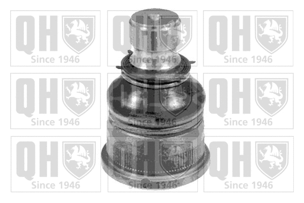 Ball Joint (QSJ1921S)