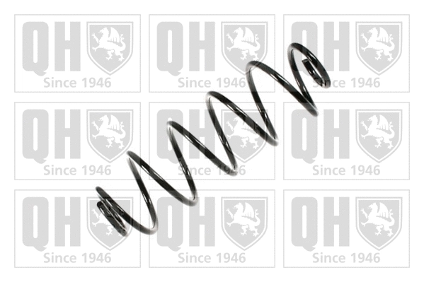 Suspension Spring (QCS6966)